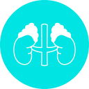 human-organ (2)